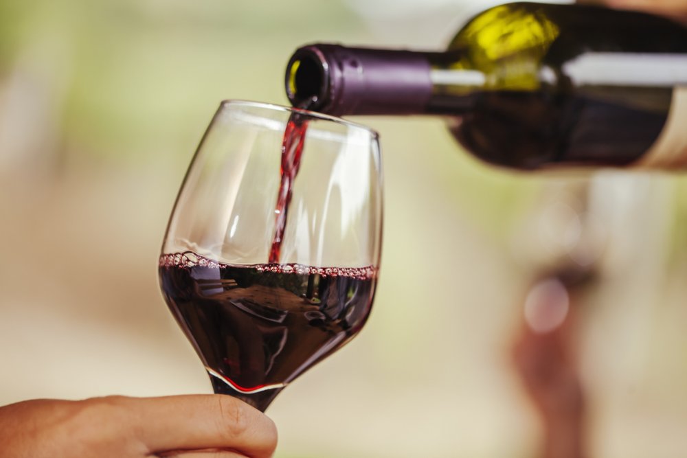 2025 World Tasting Championship agenda