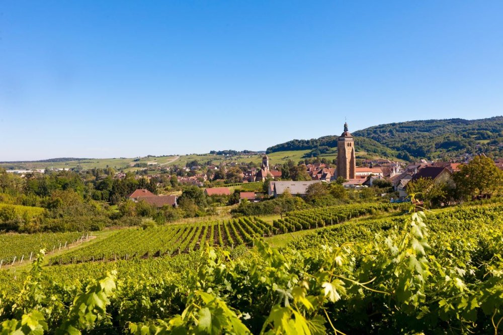 Fruitière Vinicole d'Arbois